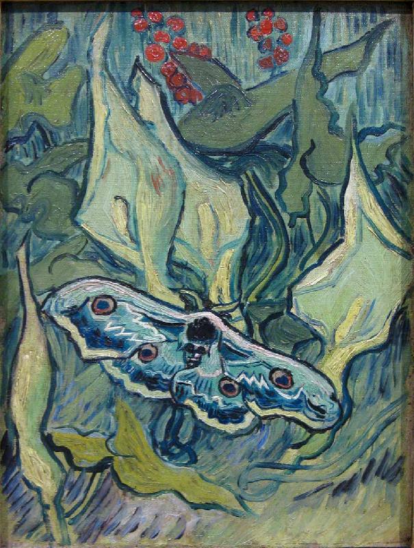 Vincent Van Gogh Butterflies oil painting picture